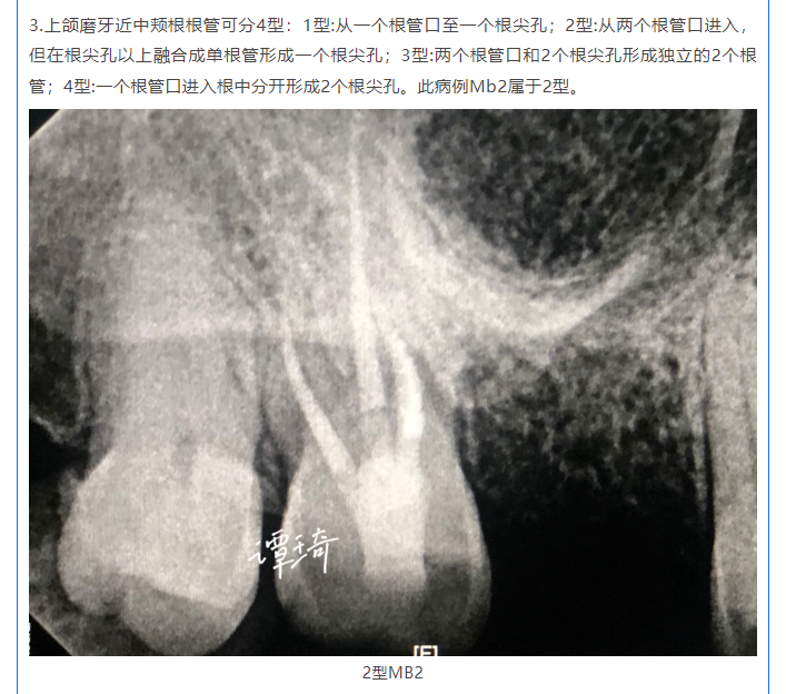 “冰墩墩之父”曹雪教授走進設計城 分享設計思維賦能產業升級秘籍